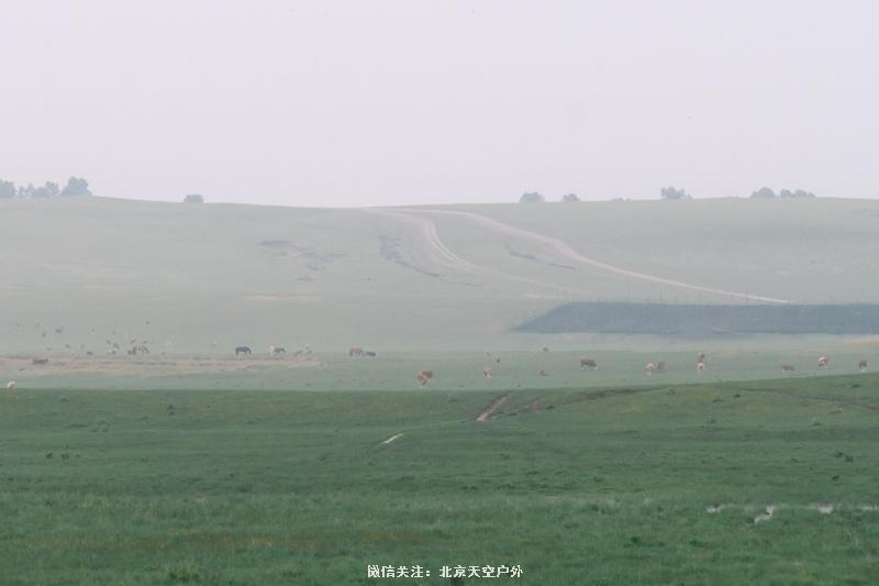 3C2A1301-5DA2-4A9C-BED7-67BA3D157B79