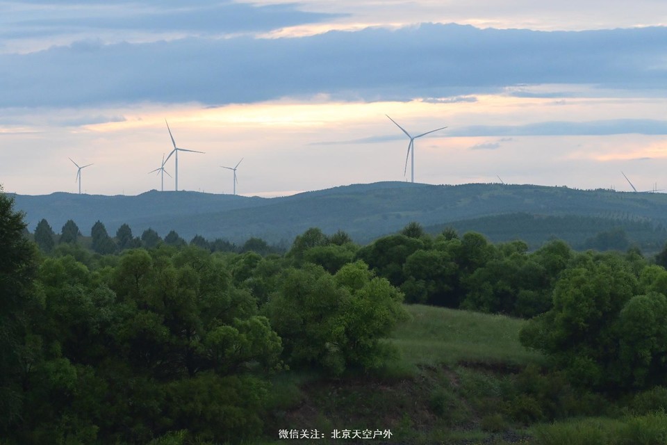 EA0D942A-3950-4184-A0C0-A359FFD4696A