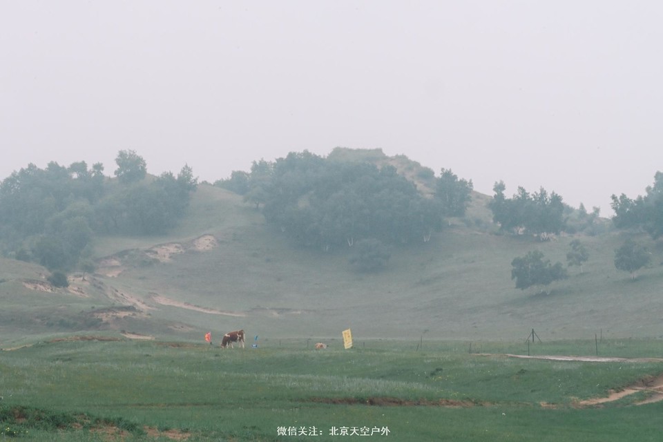 FAAF88D3-AC4C-4E9D-8DD9-9686A694B528