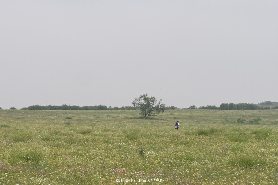 6A8A226C-4370-4C01-905F-C6CC593A70C8