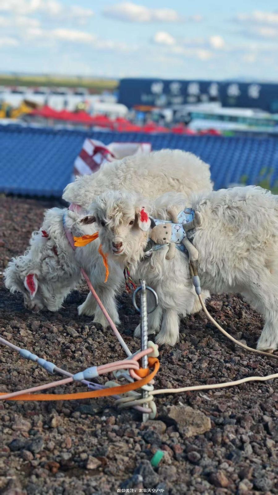 8572C4CC-5A53-4104-8C72-3A4E40C67287