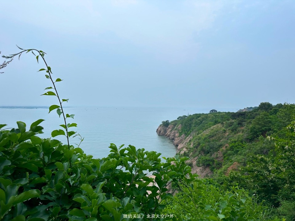 58D6DCE2-D70A-43AC-A60C-5419F74D20B3