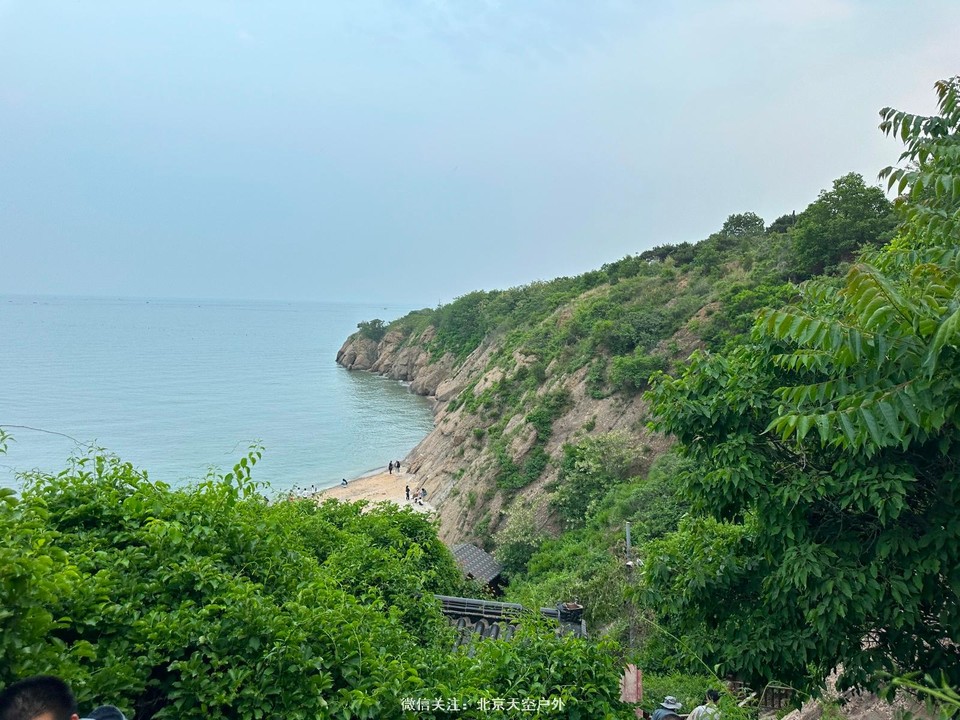 61474ADF-4823-4F01-9972-FB6DB1E91344