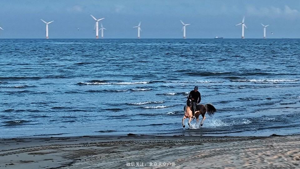 BC3F9455-53F3-45FA-A002-C105E1364D8C