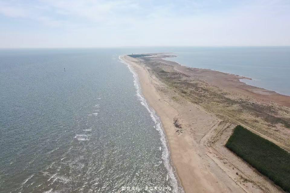 425A2009-6C53-4E22-B153-DD2420E80232