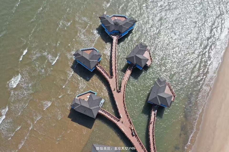 4707990A-7C4D-40B9-968D-568D53AE43B6