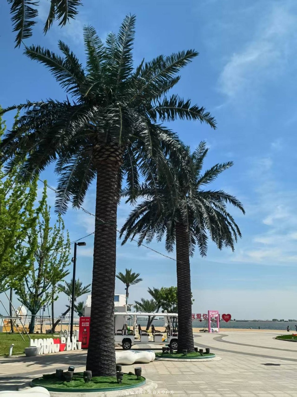 FB84832A-213F-4447-95A1-7825EE2499D4