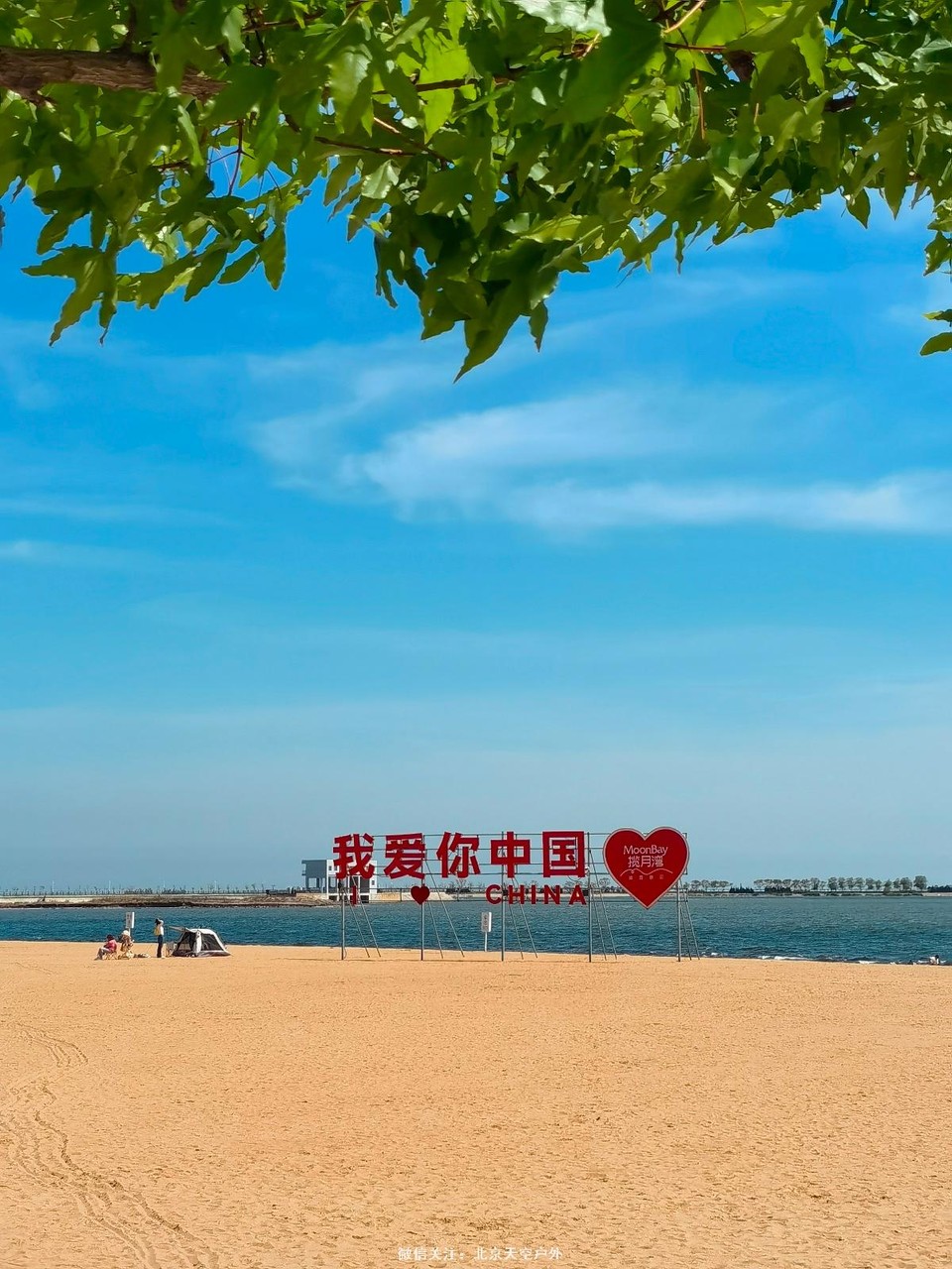 D2409AF2-87A5-4696-98C9-990E6EF6B003