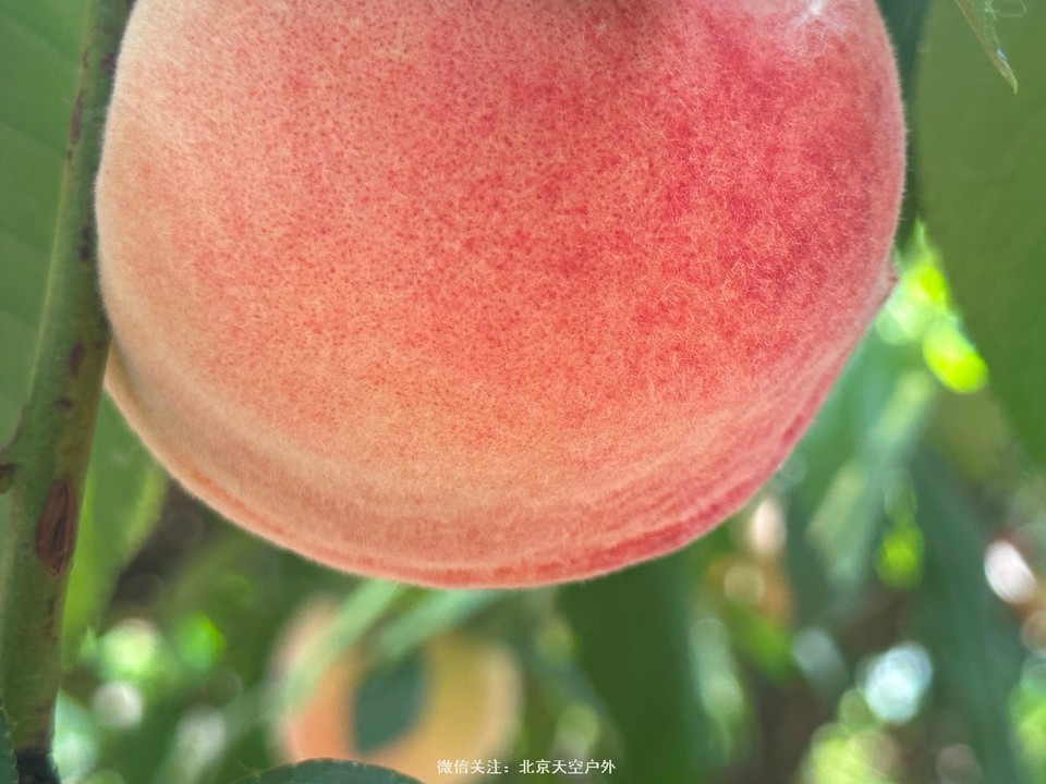 54FD77BA-AD5E-4F37-AFEB-035596EC7336