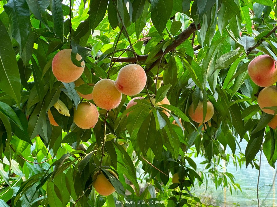 BA096E59-6277-4CB0-8753-1C314B729143