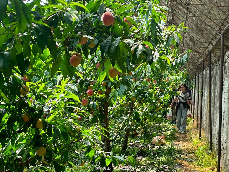 863ABC5D-489C-4525-9355-93F9761212AF