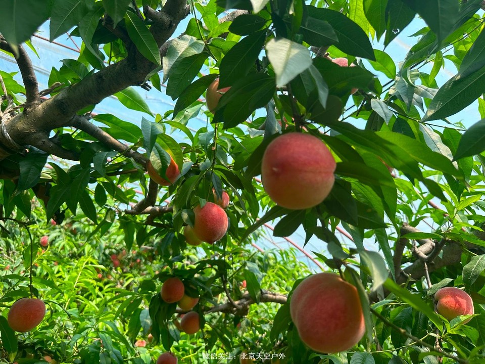 22E4B8D5-2F5E-4C53-B194-EC95B8E851D3