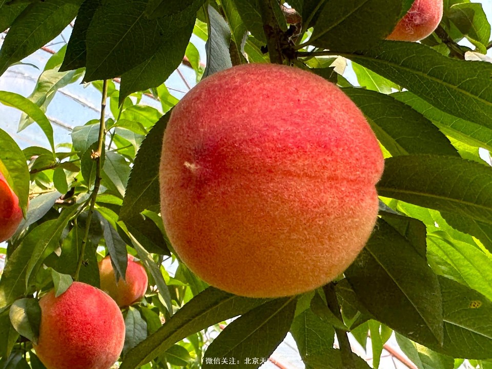 F806E863-85D0-4CF5-82CB-7EAA276EDE29