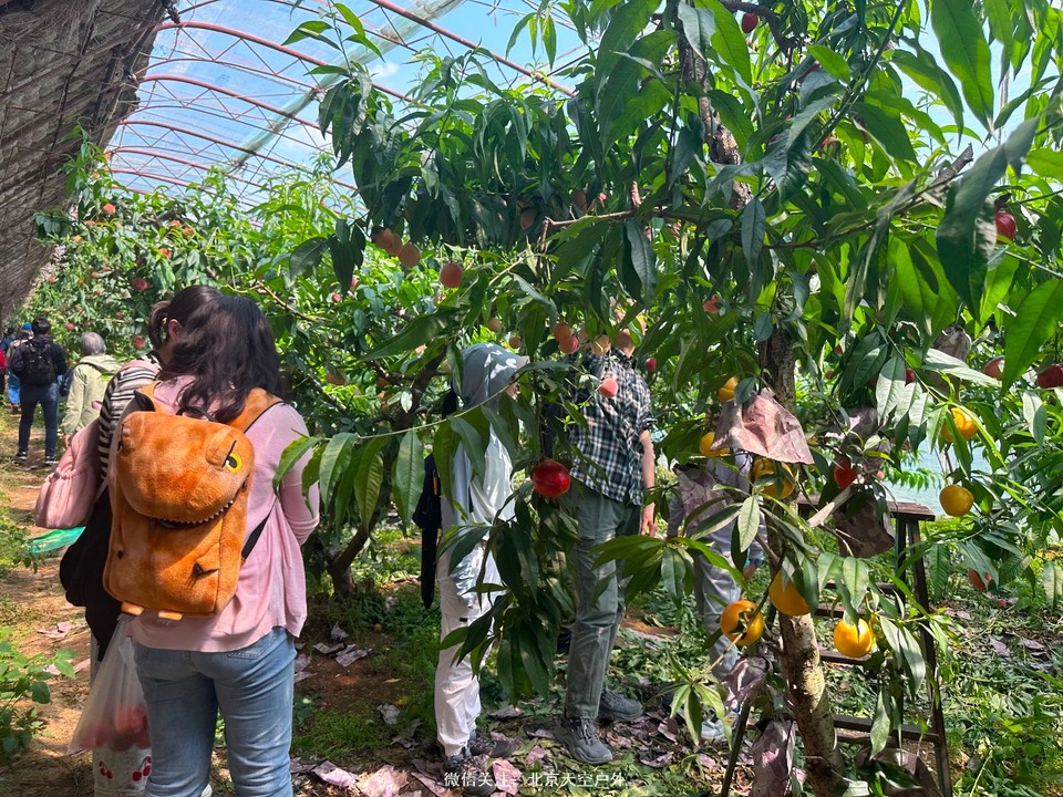 78E67EDE-25D8-4F23-8001-93ACC7BD693C