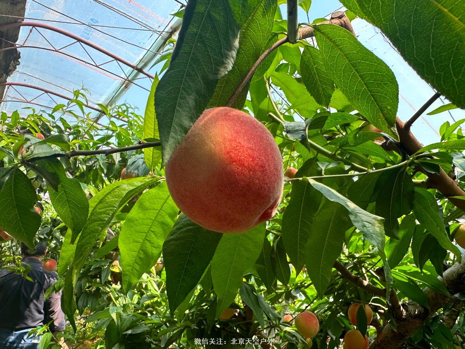 1FD41518-6BB4-4E1D-B718-06557773972D