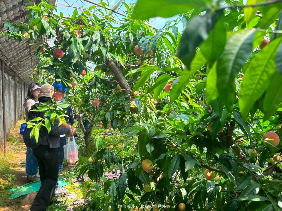 0A68B963-5BE6-46CC-BD89-FADD80D18880