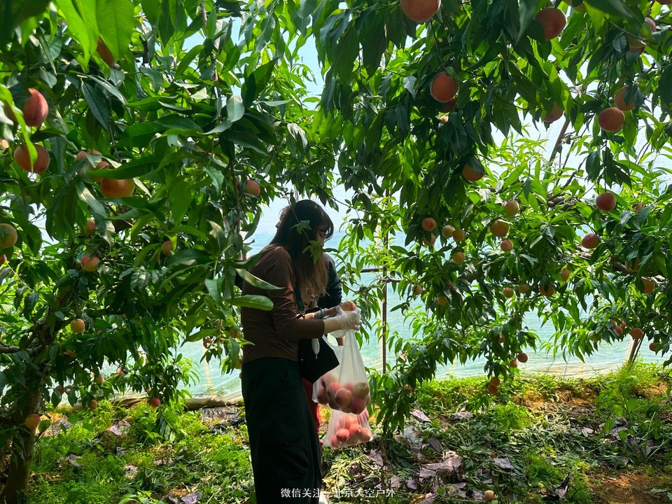 56A16EAA-D445-4496-8DFC-D1018BB7CA9A