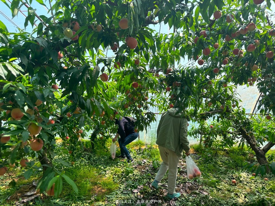 7EBC974B-116C-4B3F-872E-D5DF224F7F3C