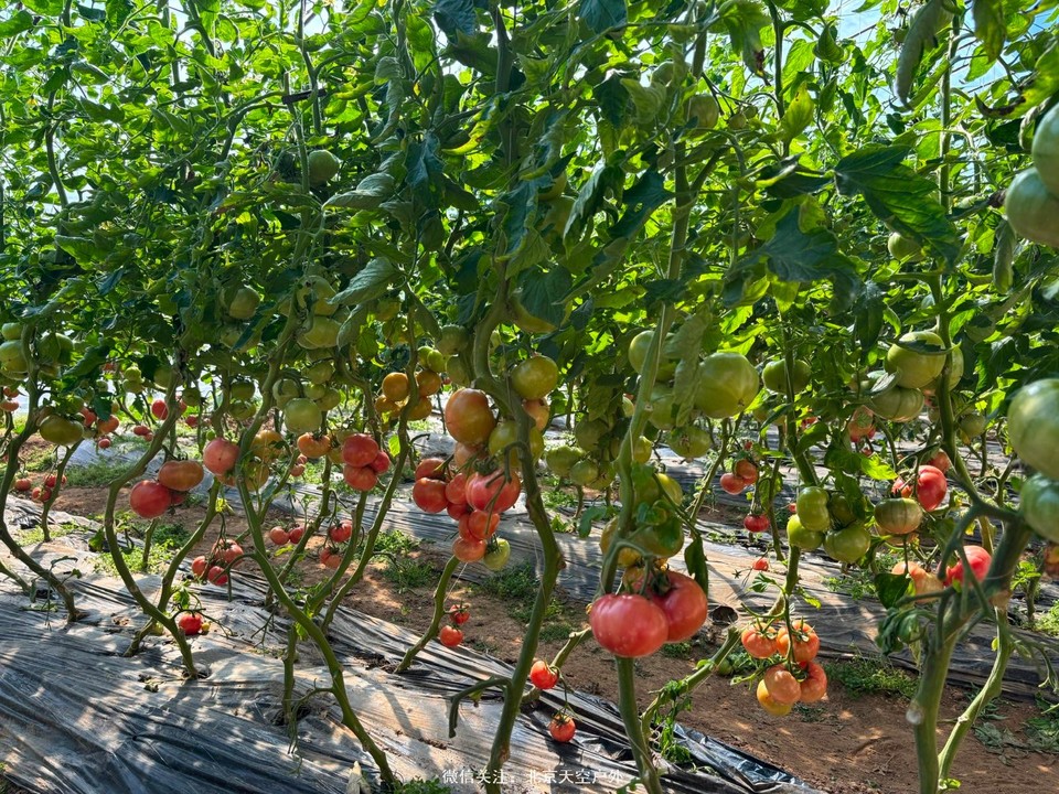 102C5DD5-83EE-4057-8E31-C88D6D3AC5E9