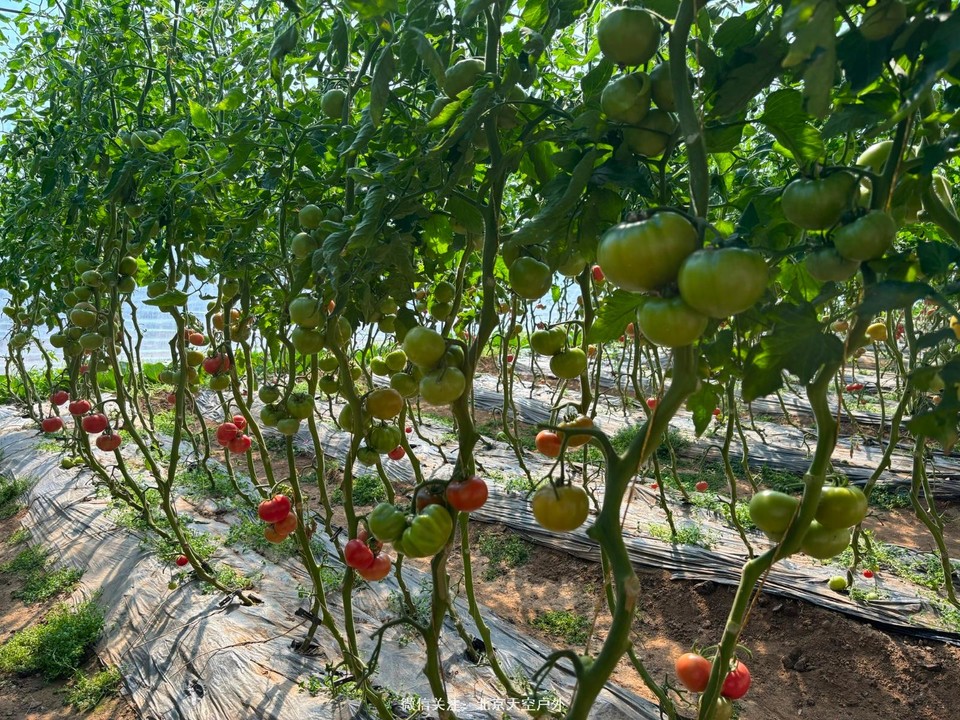 A9D1E307-251E-45C2-BD43-CB7D48AB0B46