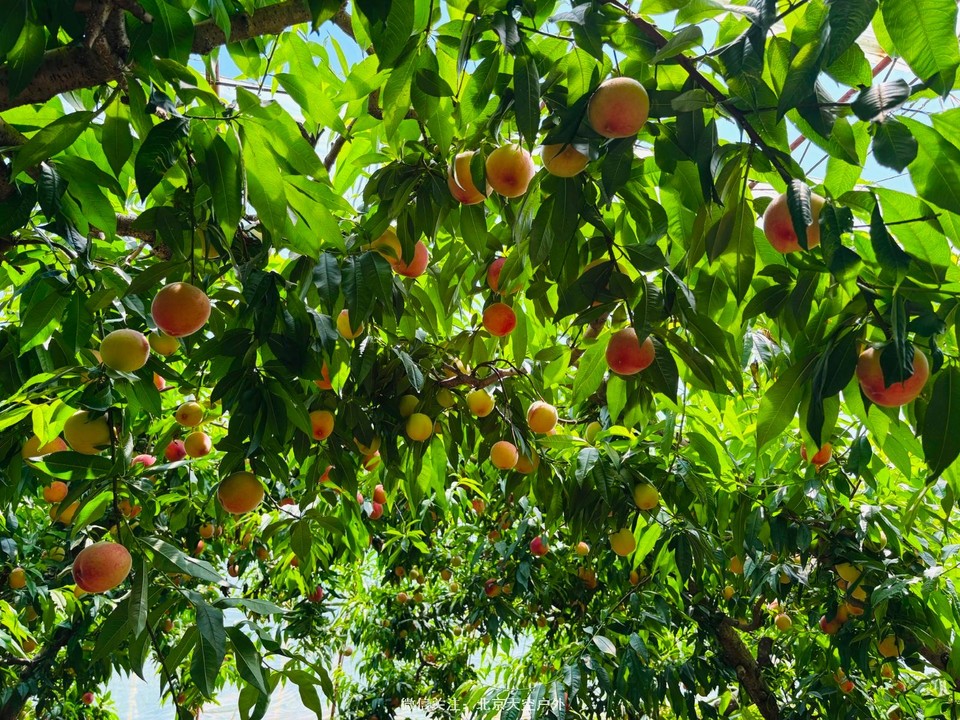 1671E0FC-FC5B-44C2-B5CA-EF6414C98B03