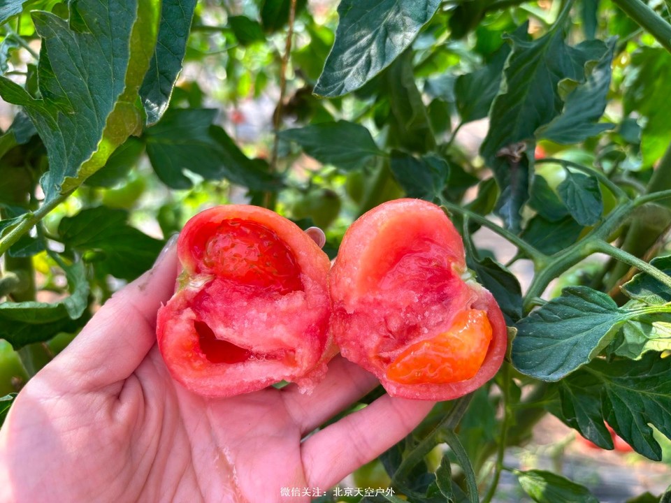 D4F7D9A8-8134-4E50-B030-4EB39F724951