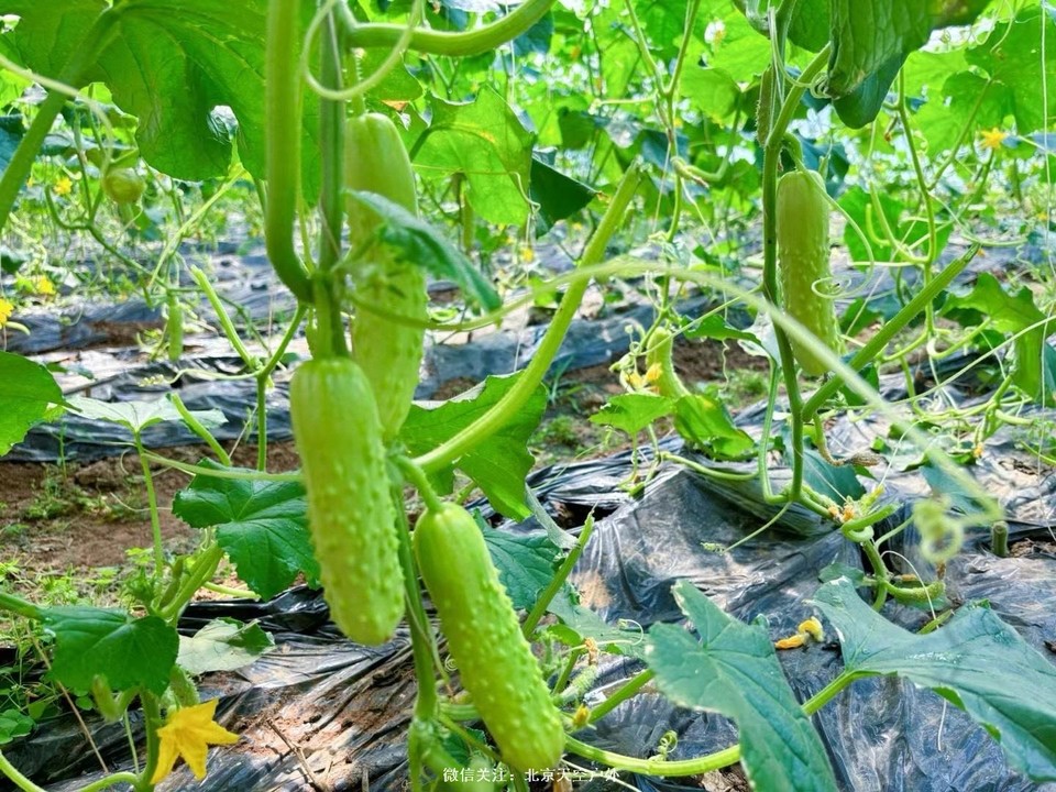 C4EA2D41-D9F6-4663-A373-4AA55DAEB05C