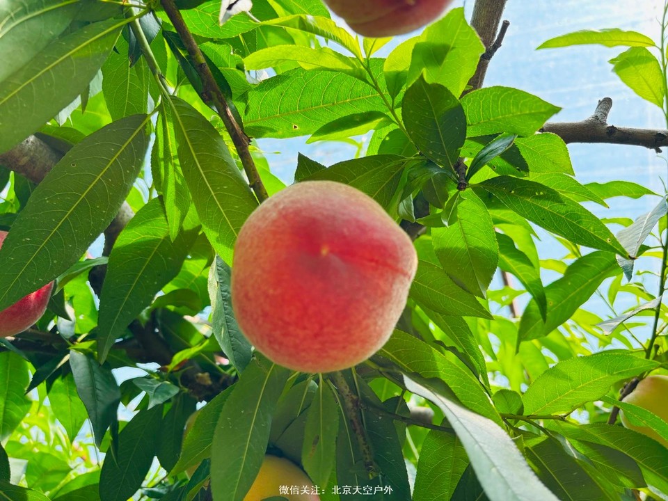 BE4EE835-AD3C-4865-A3FE-3E461BF2B0AA