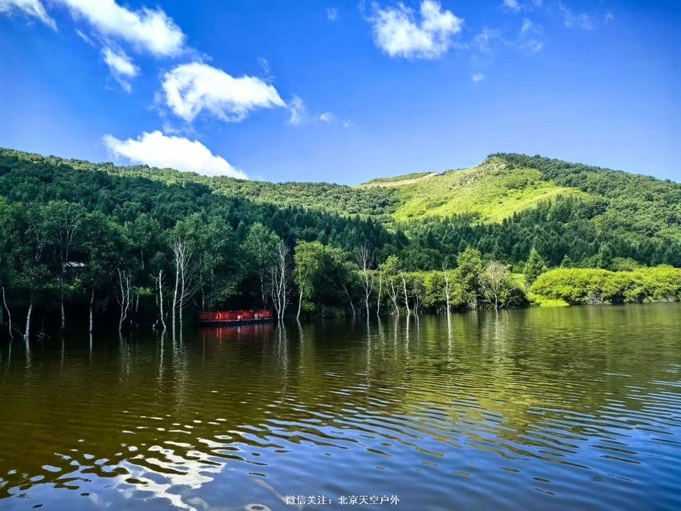 D1B5039C-2646-46D6-B859-514A0A94136E