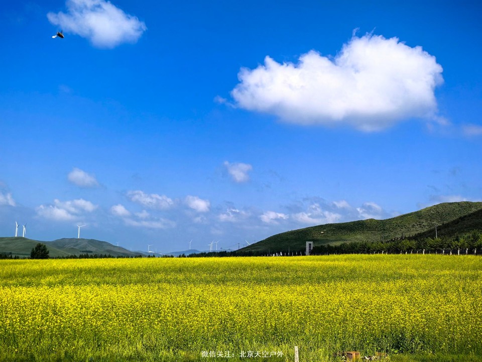 53FE8F8C-FB2F-4049-86E0-1F9F2C66DECE