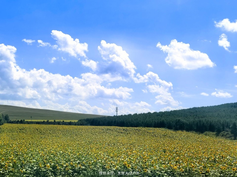 ADA5ABC6-55D6-4CE4-93EC-D01CC607D6B6