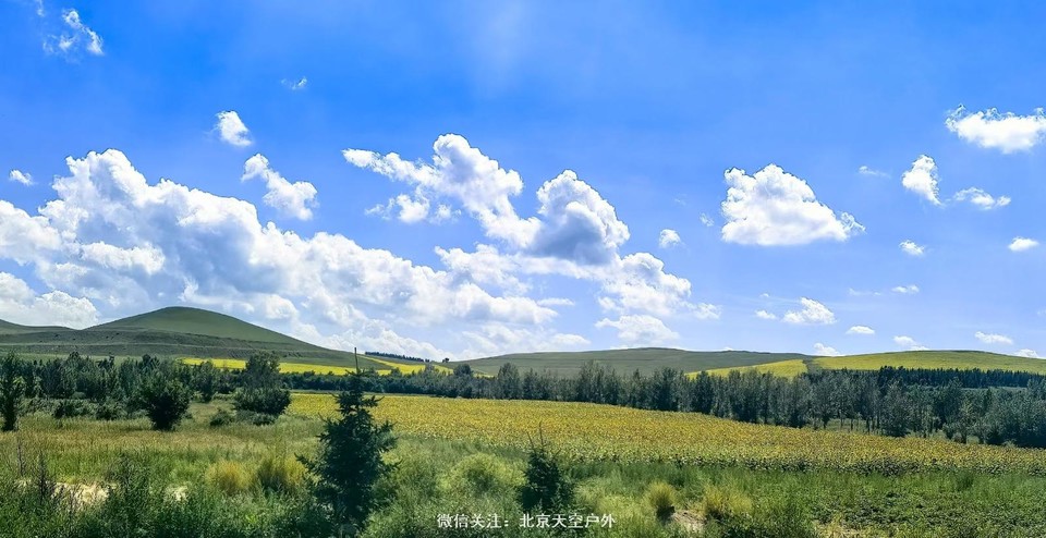 C24419E9-4A73-45F6-8C54-F61CF86491C2