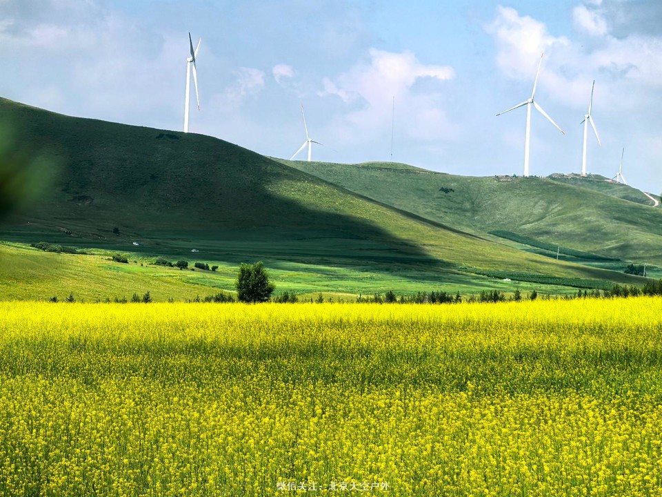 40C617A0-9757-40C3-820C-079BACEB13E6