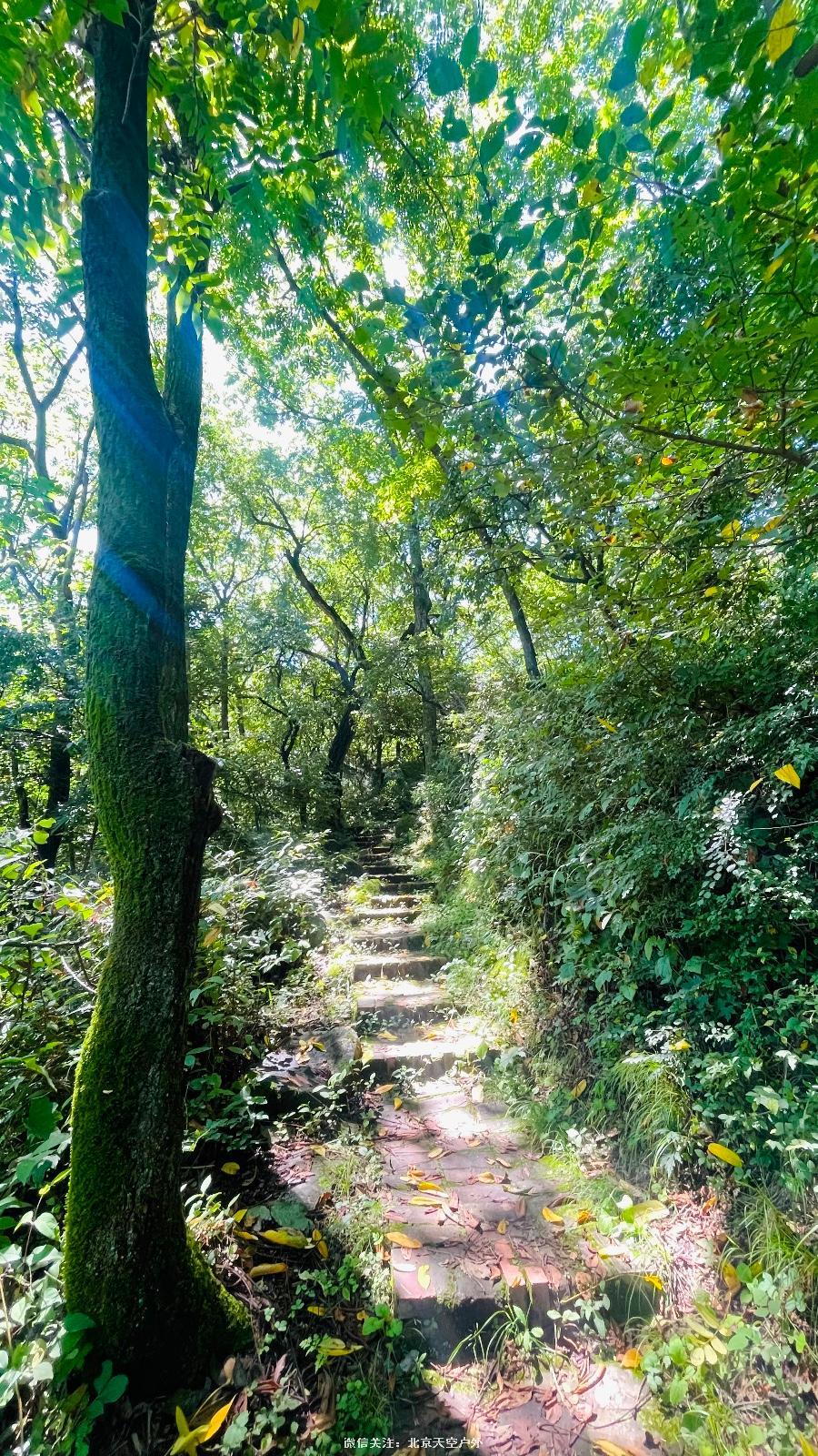 4093F2D7-1524-430D-A251-AA44655F7C64