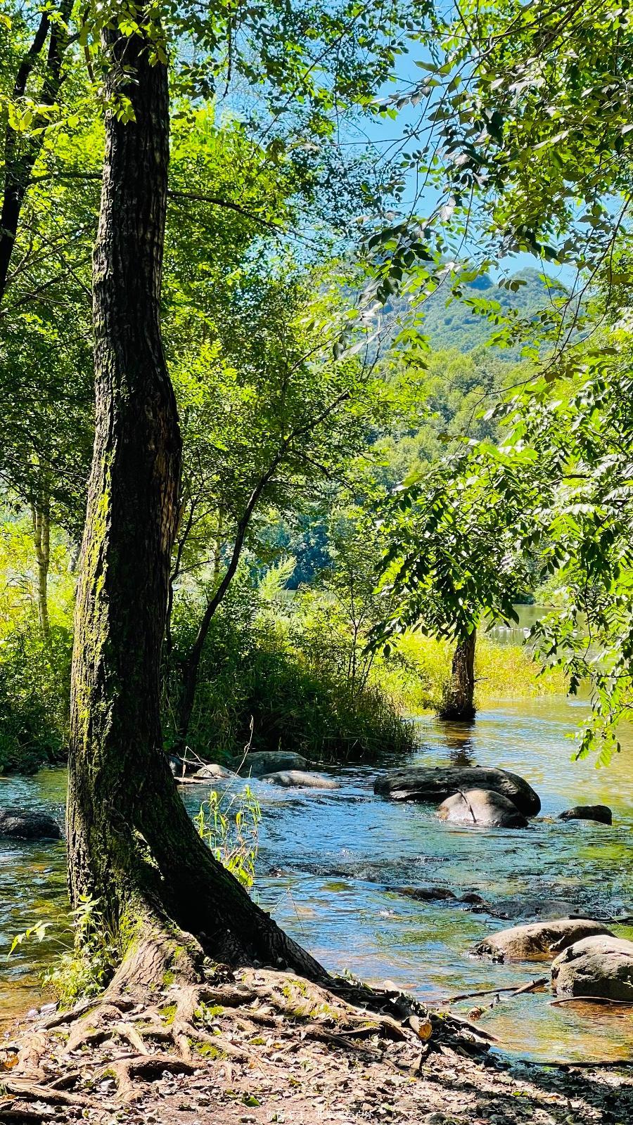 6C6ED570-99CD-43A4-B4E5-FCFEFC8D95CA