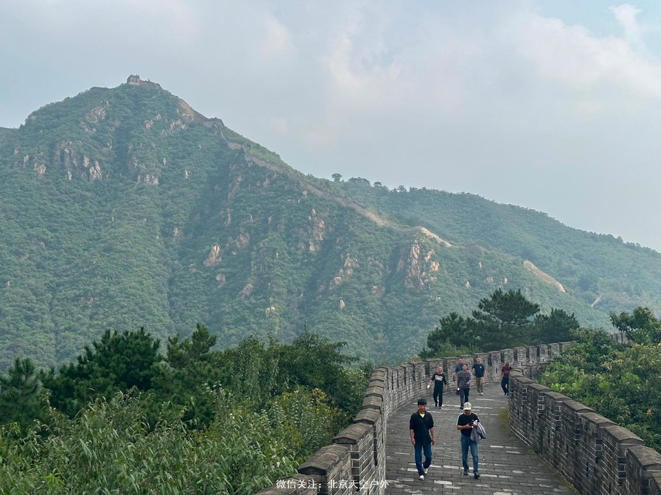 61C03BD5-55C7-46B2-9FF1-F0FA18E2EAE3