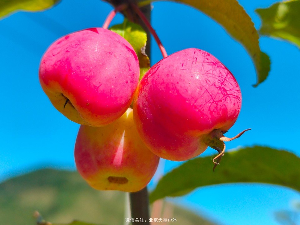 666387FF-E8D9-41A9-83CA-5BD0FD35F12A