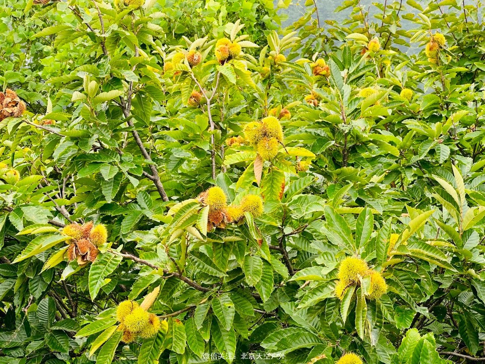 33CC4446-0FF0-4AD3-852F-D0BE54F7F9E8