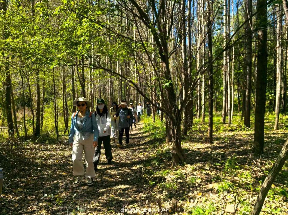 CBDD4E81-71CD-4A43-8407-EAB9BB64EBF2