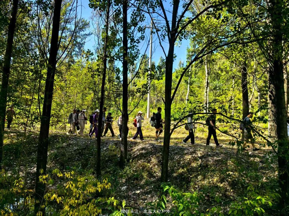 4518C222-4A7C-4C7C-A798-9FC25D508376