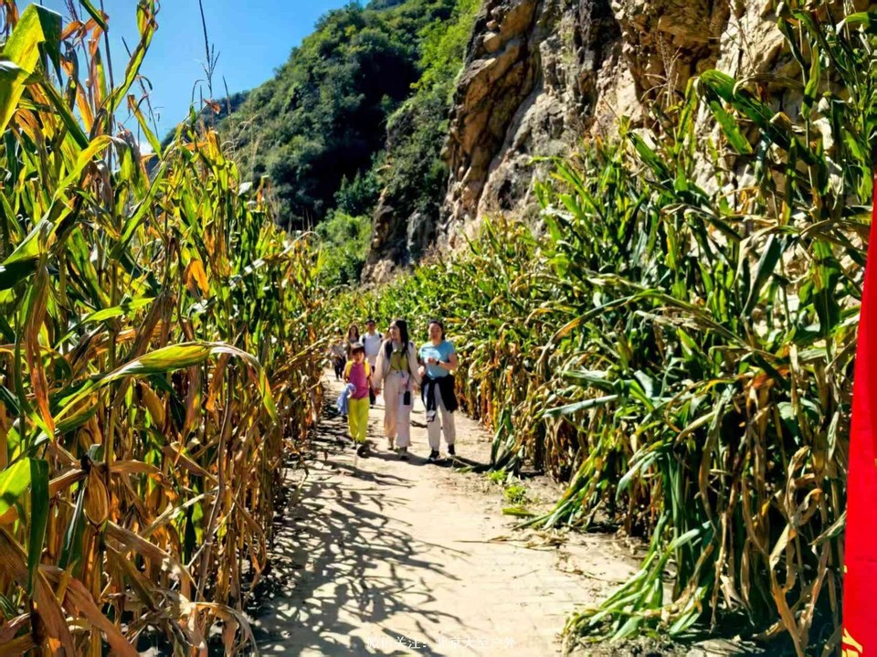 6935BA67-97C2-452E-AB2D-421F07E58D4E