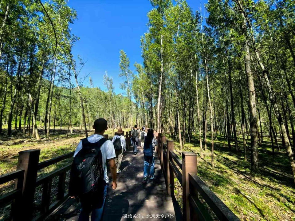 6218164F-89D7-4969-A81B-6789C7CE1475