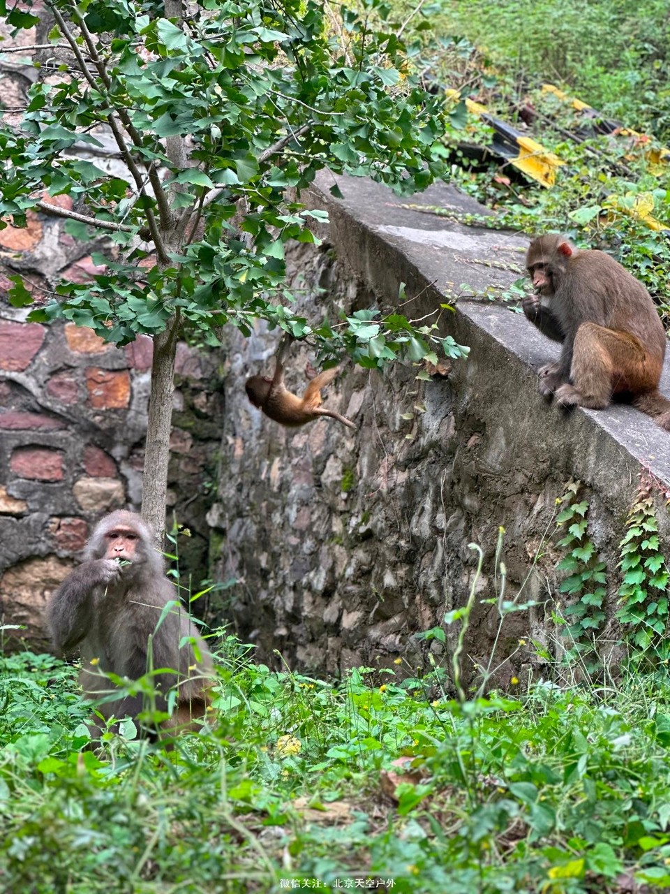 C5587AA9-5712-47D4-8BDF-E71580138860