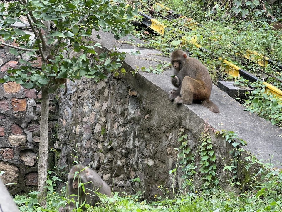 8AACC37A-BD5A-4D43-A56D-4B99E934B7D9