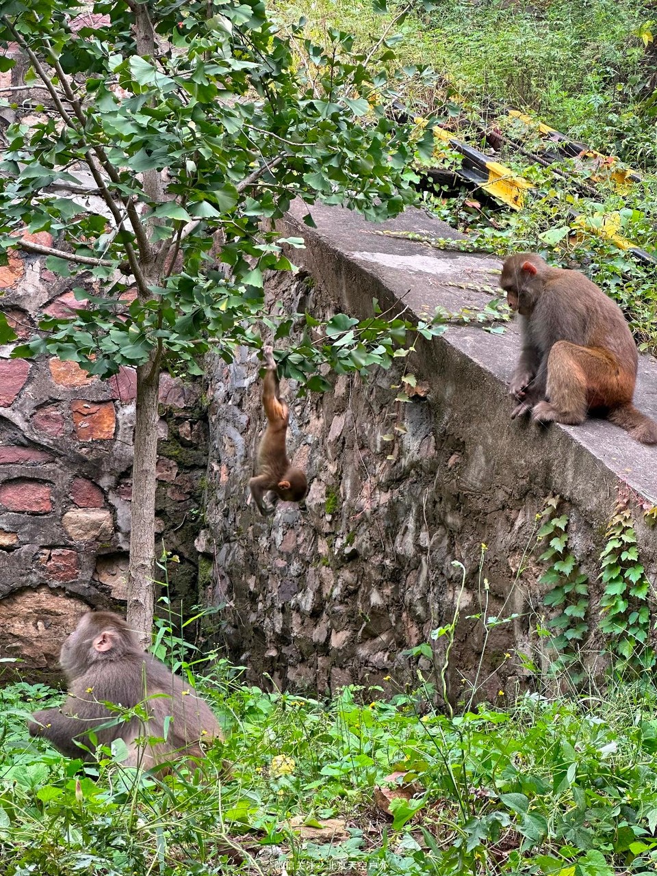 E2D5DB96-0759-41A8-9884-7EEF26613876