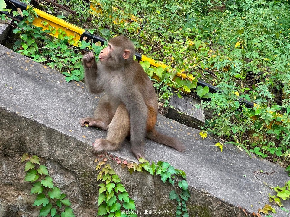 59018CE8-36BF-428F-81F1-830DA79BD0B6