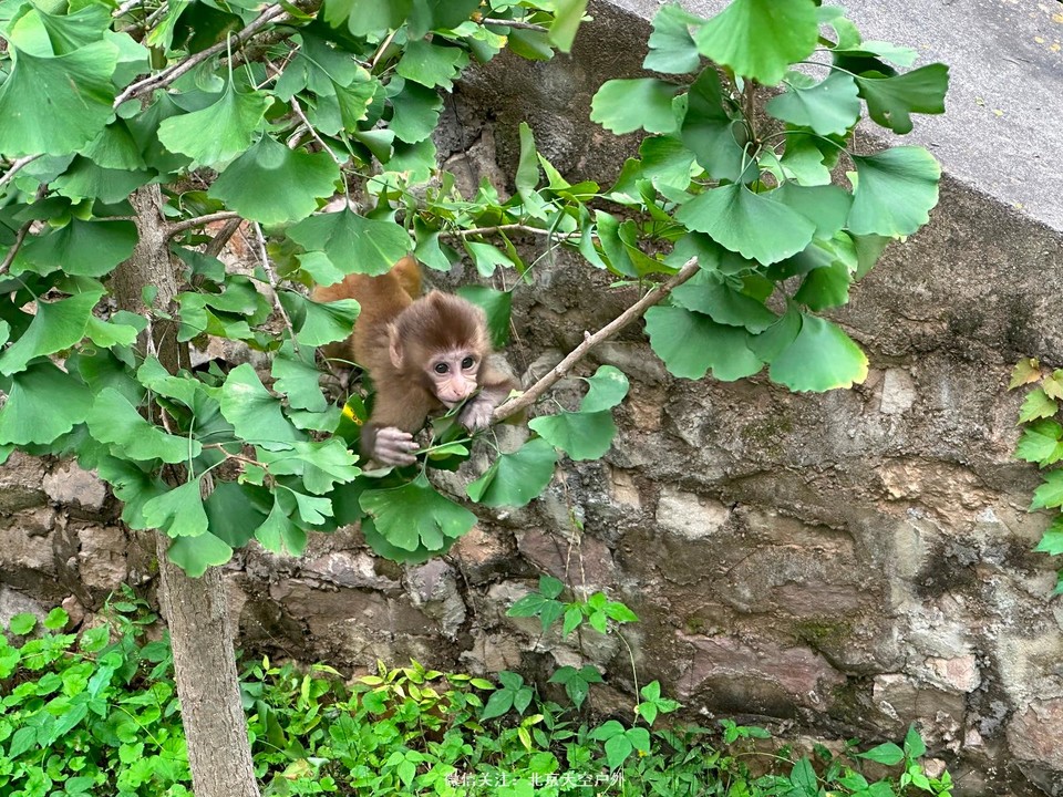 B011FE3E-AFFB-452A-B66B-08ABC93DF384