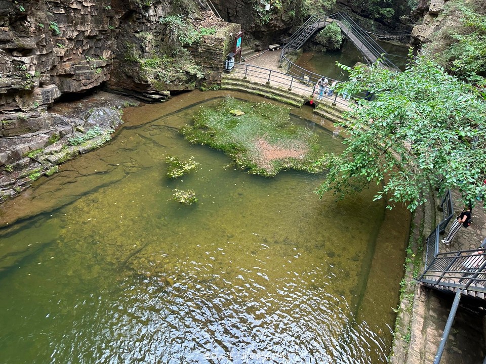 9F58A94C-A3ED-437F-A59F-2300945AB4A5