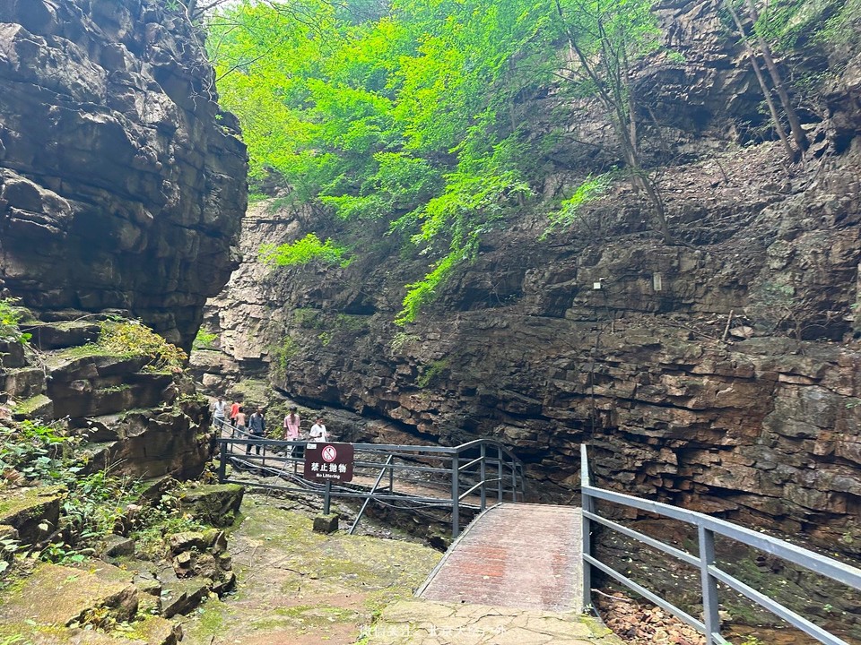 F4B610F7-0DE7-49AA-8A63-EA1CF1C8FE11