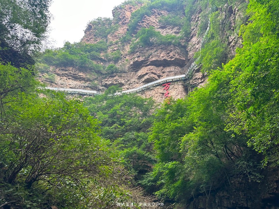 62C2C9B0-4DA8-49BA-8464-0280AACAB7EC